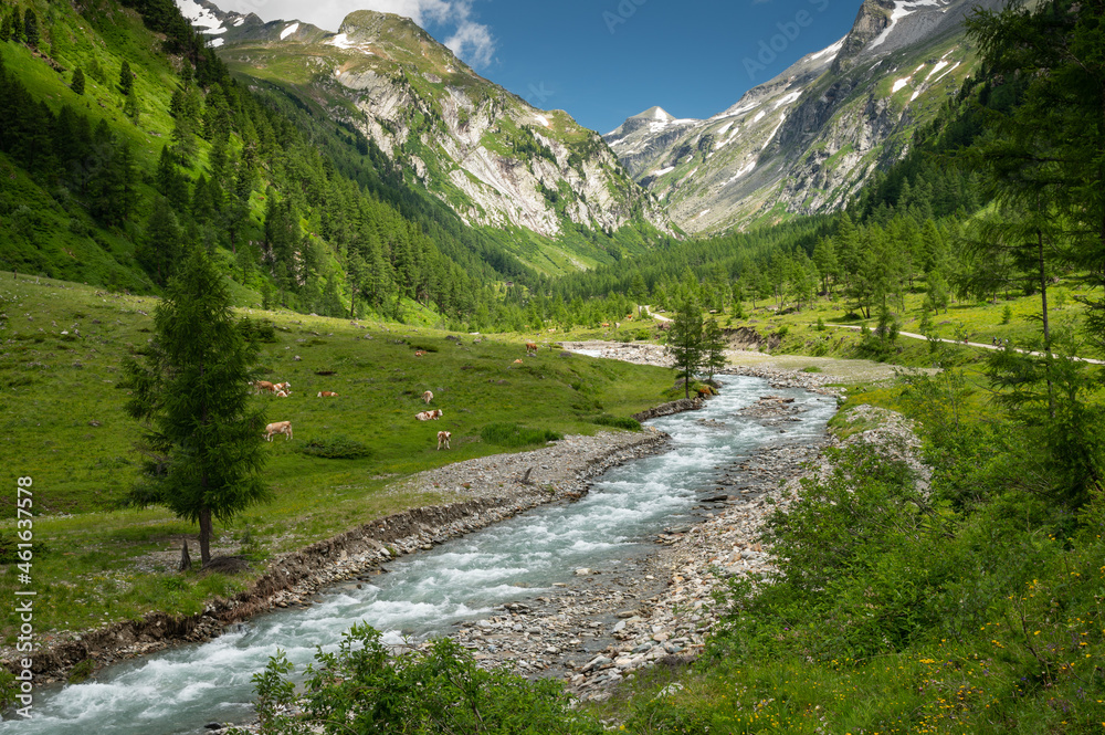 Valley in the Austrian alps in summer on a sunny day