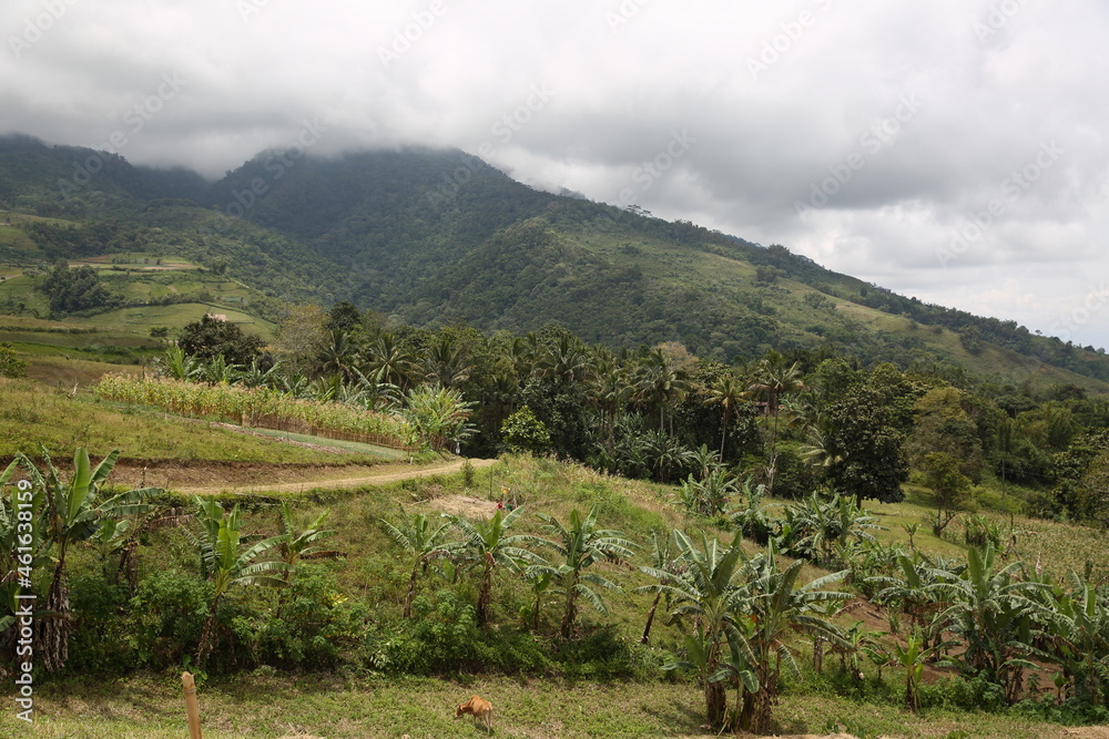 landscape of the mountain in lanao der sul, mindanao island