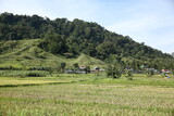 rural farm field of lanao del sur in mindanao island