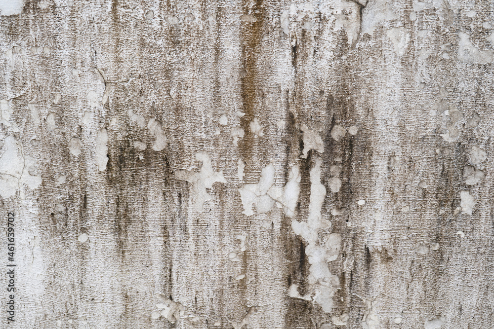 Fototapeta premium Abstract background. Monochrome texture. Image includes a effect the black and white tones