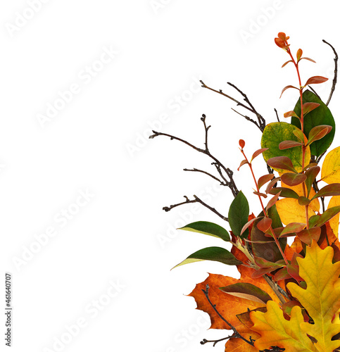 Colorful autumn leavesand b...