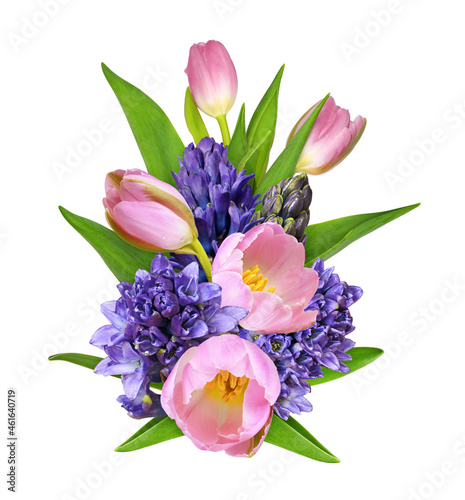 Pink tulips and blue hyacin...
