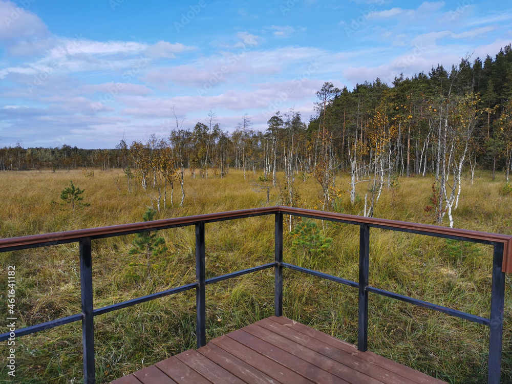 An observation deck with a wooden deck over the swamp, with a view of the grass and low trees against a beautiful sky with clouds.