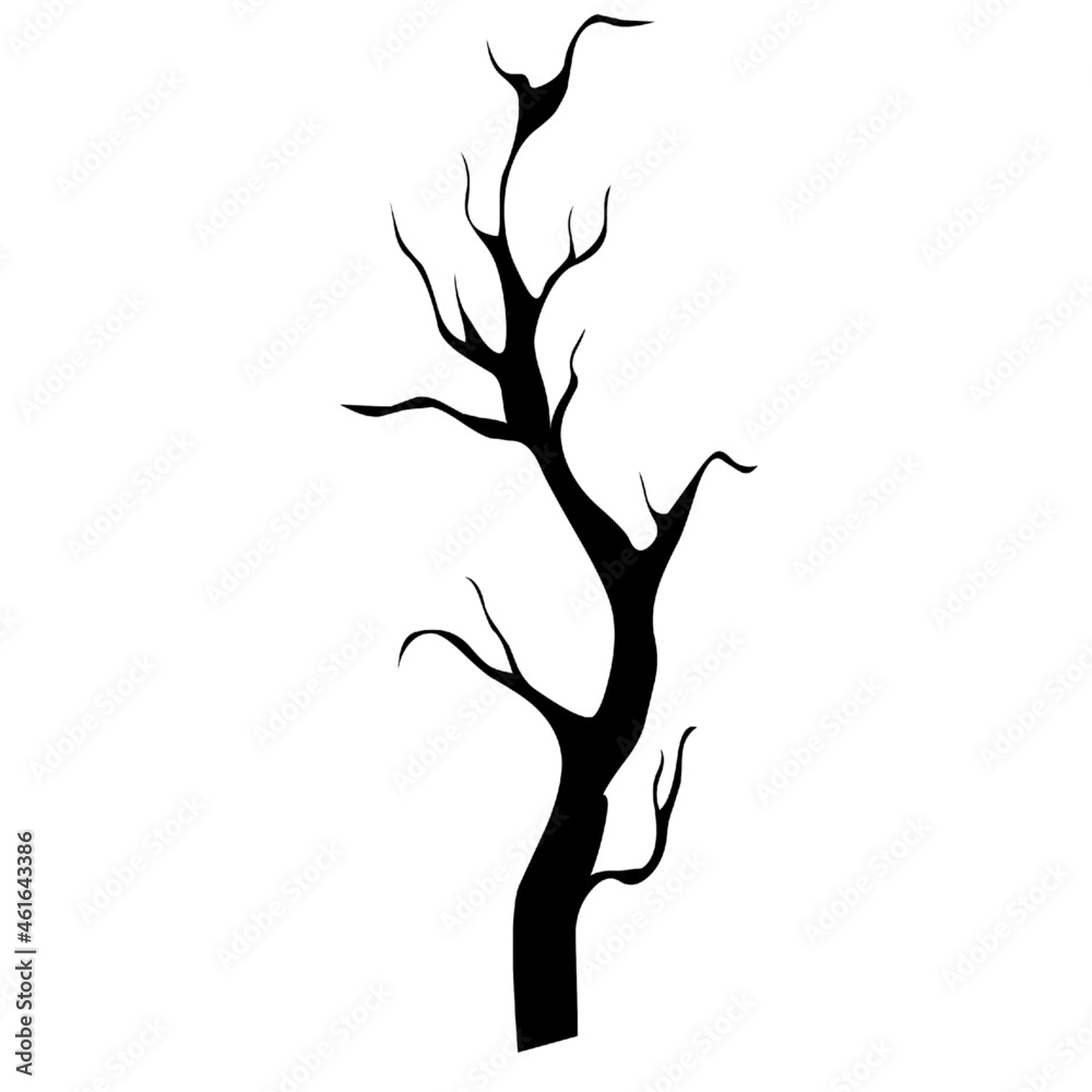 Tree branch wood trunk plant ecology Tree branch wood trunk plant ecology