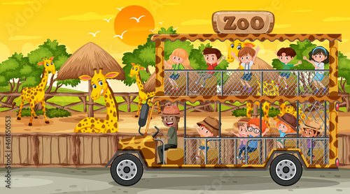 Safari at sunset time scene with many children watching giraffe group