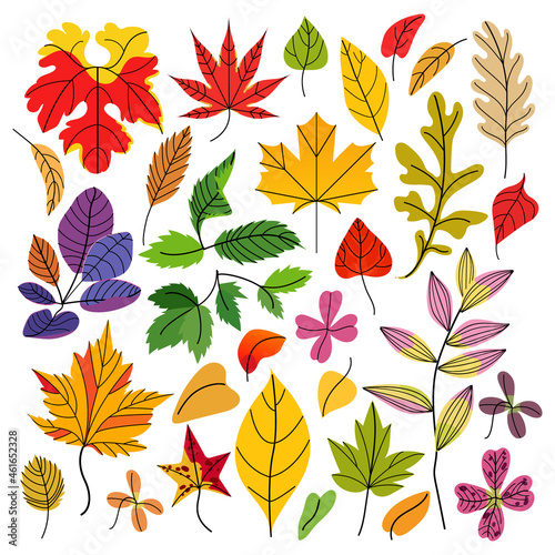 Autumn colorful leaves set, isolated on white background. Flat vector illustration.