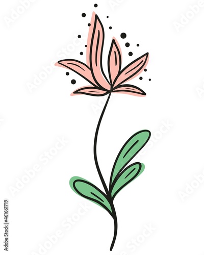 Single beautiful flower line art  vector illustration. Handmade contour image of an elegant blooming flower. Black outline and colored spots  botanical decoration.
