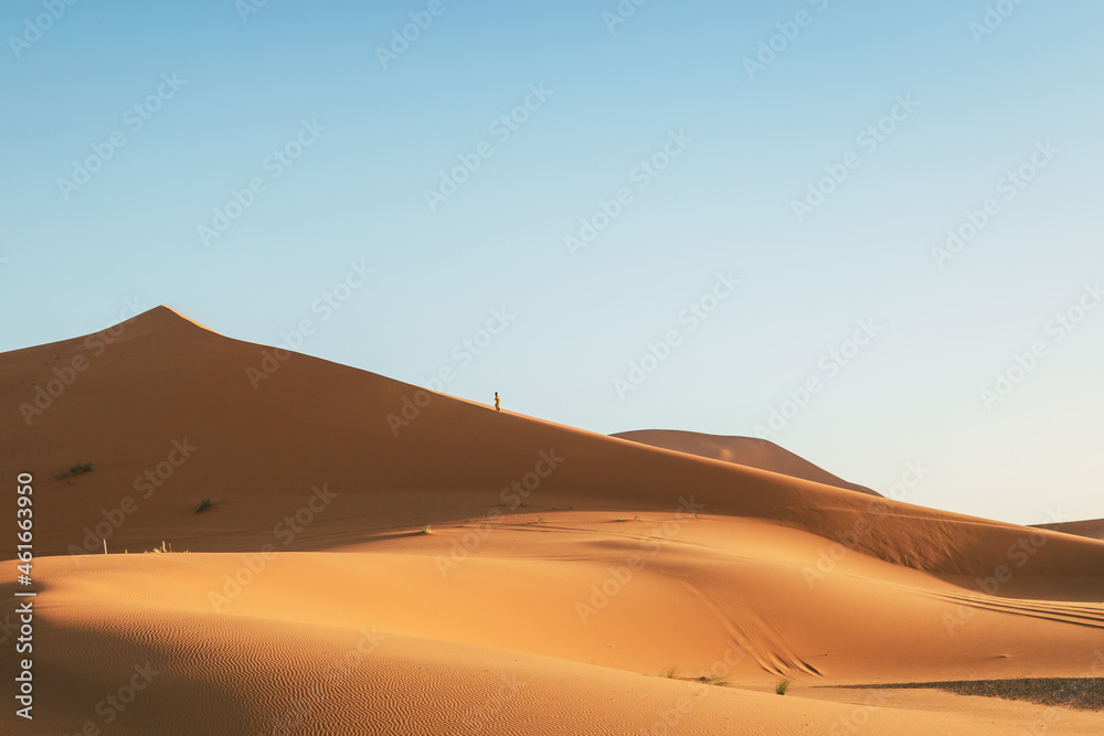 A person climbs a huge dune in the Sahara desert