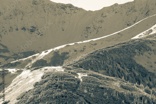 Creative sepia colors in Tatra landscape, Poland. Cold sunny day, high ridges, sparse coniferous forest in the slopes. Selective focus on the details, blurred background.