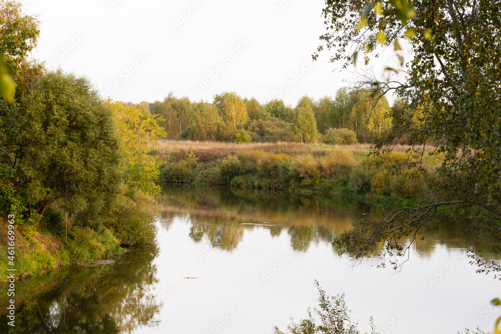 Fototapeta premium River in the autumn forest. Autumn river water.