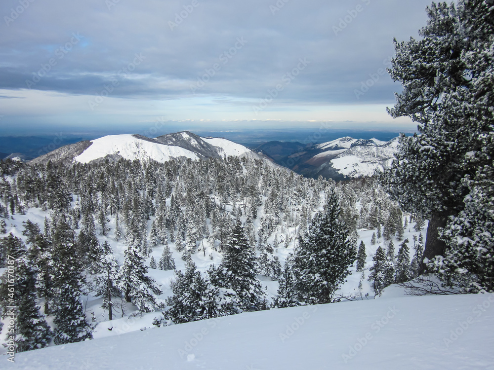 Fototapeta premium Paysage enneigé de montagne et forêt.