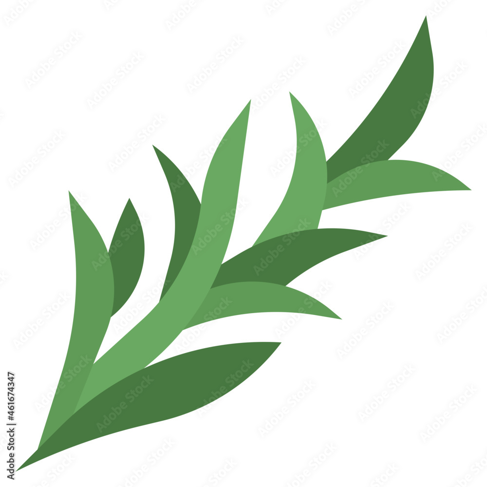 ROSEMARY flat icon,linear,outline,graphic,illustration