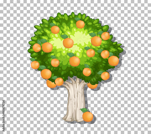 Orange tree on transparent background