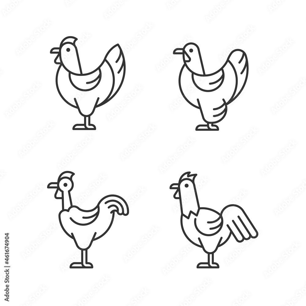 Chicken breeds linear icons set. Brahma hen. Transylvanian chicken. Hen and rooster. Poultry farming. Customizable thin line contour symbols. Isolated vector outline illustrations. Editable stroke Chicken breeds linear icons set. Brahma hen. Transylvanian chicken. Hen and rooster. Poultry farming. Customizable thin line contour symbols. Isolated vector outline illustrations. Editable stroke