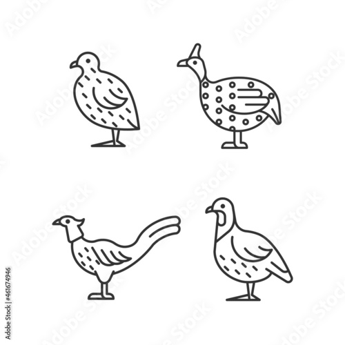 Landfowl linear icons set. Japanese quail. Pheasant family. Guinea fowl. Commercial poultry farming. Customizable thin line contour symbols. Isolated vector outline illustrations. Editable stroke