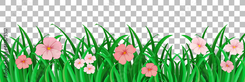 Grass and plants on transparent background for decor