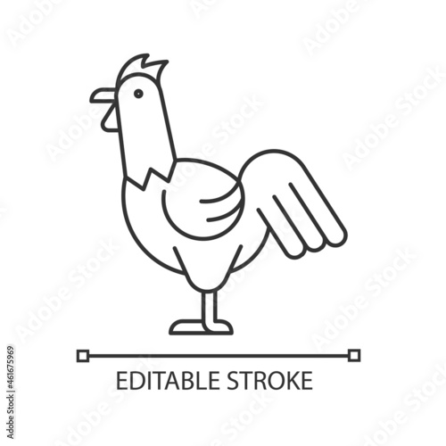 Rooster linear icon. Cocks husbandry. Commercial chicken raising. Domestic landfowl. Thin line customizable illustration. Contour symbol. Vector isolated outline drawing. Editable stroke
