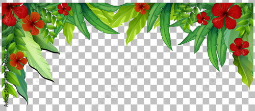 Green nature leaves frame transparent background