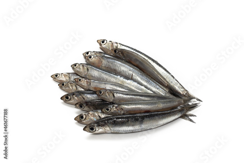 close up fresh anchovies on a perfect white background, top view.