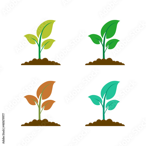 The tree that grows from seed is a big tree with green color and the seedlings grow into a big tree. Vector illustration