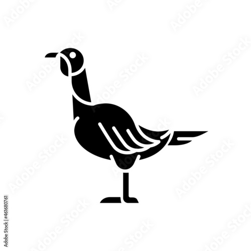 Female turkey black glyph icon. Poultry farming for food. Domestic bird growing for meat. Thanksgiving dinner with turkey. Landfowl. Silhouette symbol on white space. Vector isolated illustration