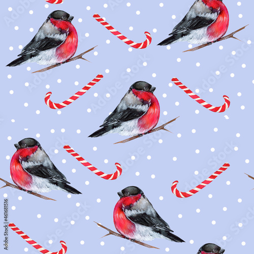 Seamless pattern with birds. Winter Birds - bullfinch. Watercolor illustration. Merry Christmas and Happy New Year.