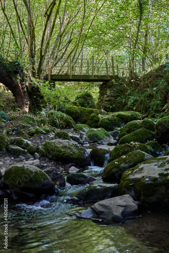 Beyu Pen path in the Ponga Natural Park in Asturias. Spain