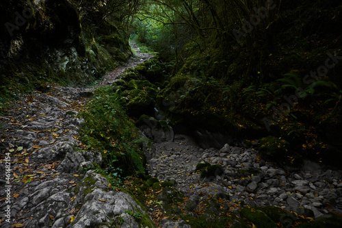 Beyu Pen path in the Ponga Natural Park in Asturias. Spain