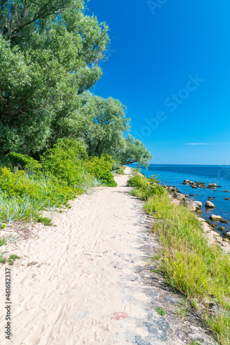 Sandy path with trees to estuary Vistula River to the Baltic Sea at summertime.