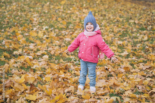 A little girl holds an autumn maple leaf in her hands. Bright autumn photo in the park with leaves. A child against the background of beautiful orange leaves. © Надин Стокер