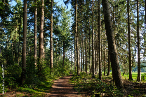 Landgoed Tongeren, Epe, Gelderland province, The Netherlands photo