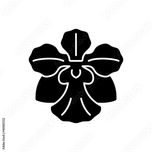 Vanda Miss Joaquim black glyph icon. Singaporean national flower. Plant hybrid. Singapore orchid. Fan-shaped flower cluster. Silhouette symbol on white space. Vector isolated illustration