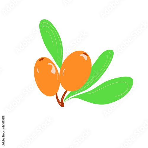 vector sea buckthorn berry on a white background in flat graphics, vector yellow berry for design