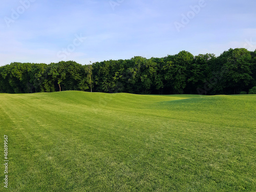 Green field and blue sky. Golf course.