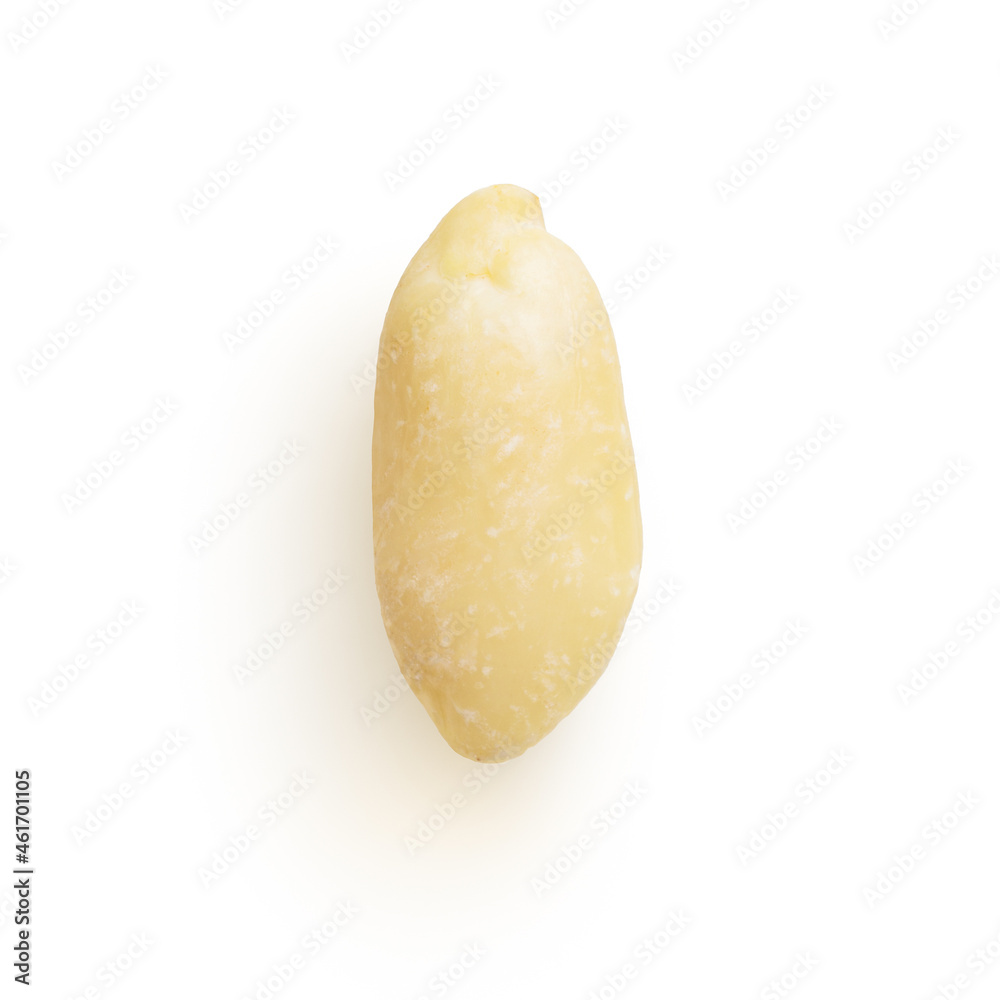 Isolated peeled raw peanut on white background Isolated peeled raw peanut on white background