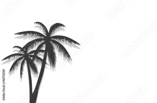 Palm tree poster isolated on white background. Modern palm trees summer backdrop for wallpaper  placard and ad. Palm tree for cover and banner. Creative art concept  vector illustration