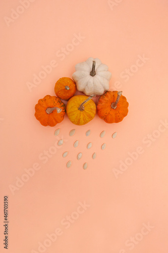 Creative composition cloud with  pumpkins and seeds on the orange background. Rainy day. Helloween composition.