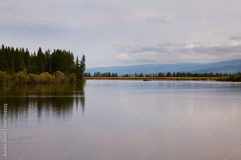 Fototapeta premium The bay of the river on a cloudy summer day. 