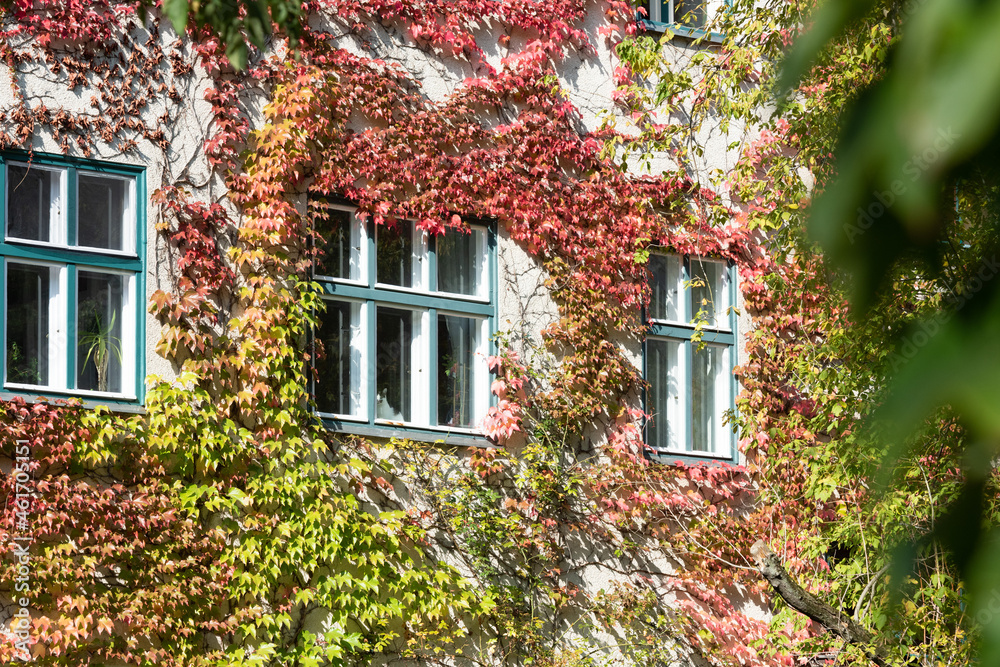 Autumn in Berlin-Prenzlauer Berg