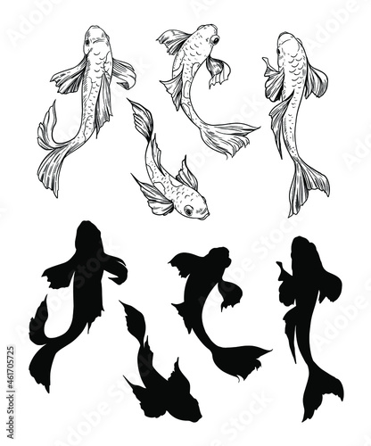 Set of koi fish. Hand drawn skrtch. Vector illustration