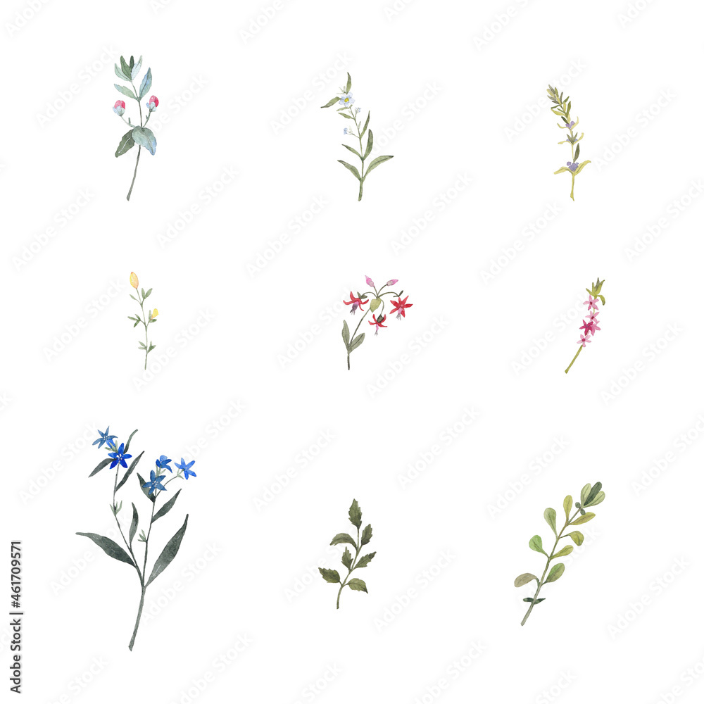 Paint set of watercolor flowers and leave on background. Paint watercolor texture. Botanical art. Use for design invitations, birthdays, weddings