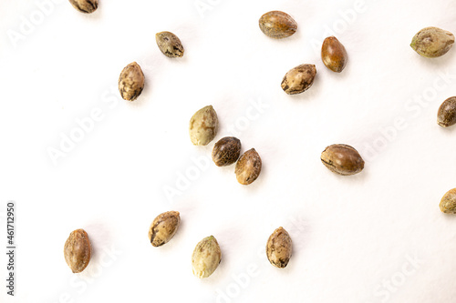 Hemp seeds on white background. top view