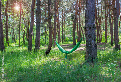 Resting in a green hammock in the sunny woods