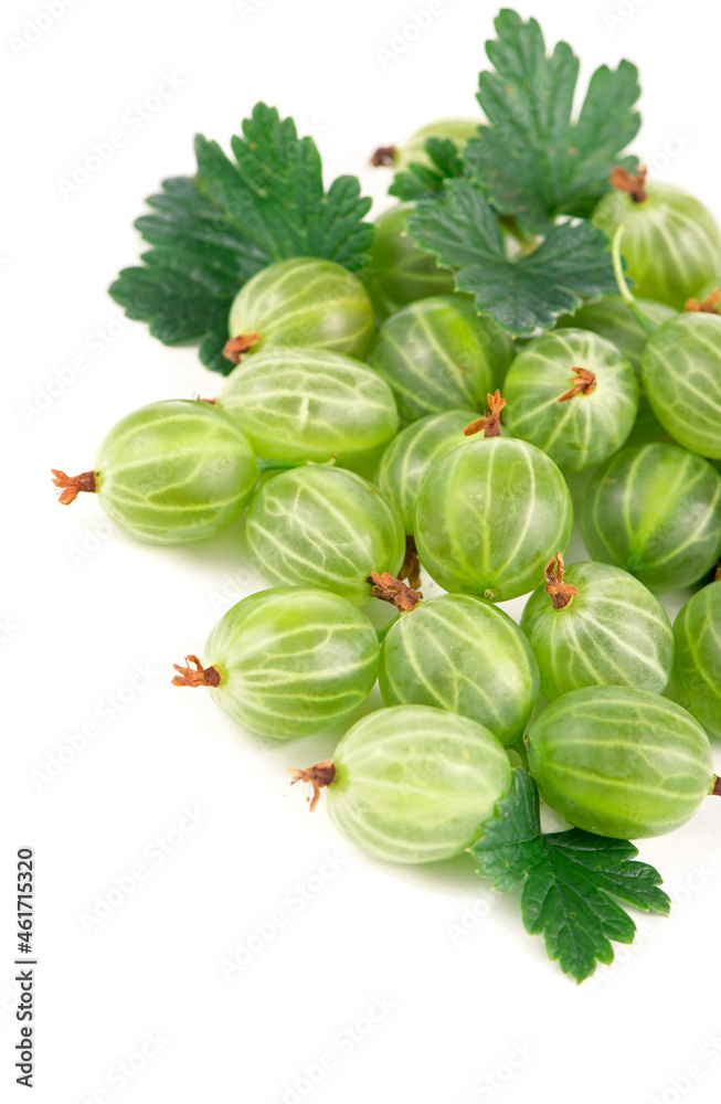 Fototapeta premium organic food, healthy food, green gooseberry fruits with leaf on white