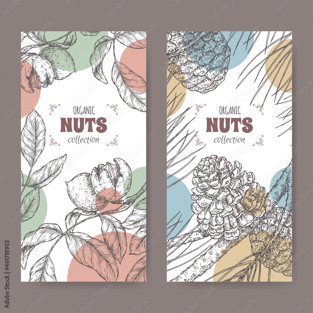 Set of two labels with Juglans regia aka walnut tree and Pinus pinea aka stone pine branch sketch. Culinary nuts series.