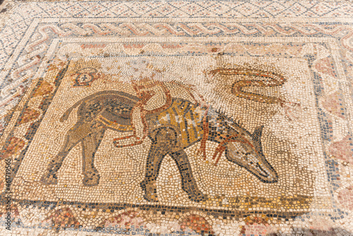 Römisches Mosaik in Volubilis, Marokko