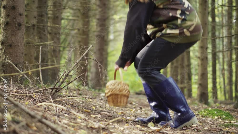 A girl in a camouflage jacket walks through the woods with a basket. Looking for mushrooms. A girl in a camouflage jacket walks through the woods with a basket. Looking for mushrooms.