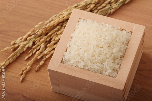 米と稲穂