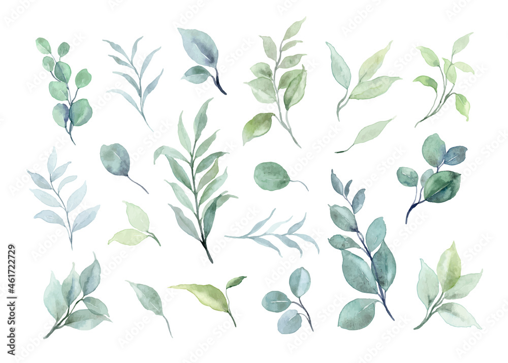 Green leaves element collection with watercolor