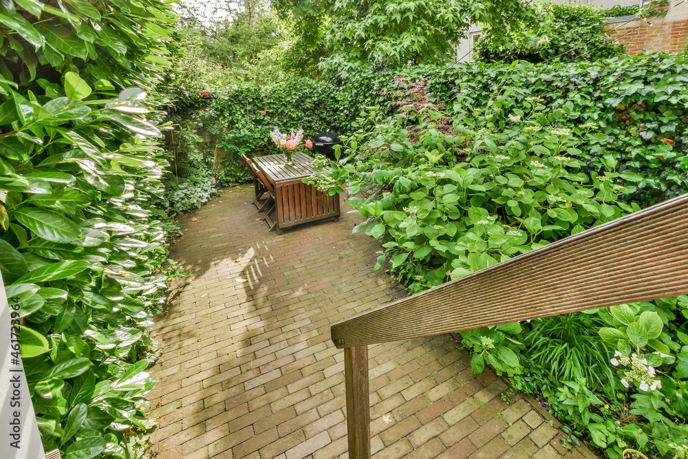 Courtyard with vivid lush greenery Courtyard with vivid lush greenery